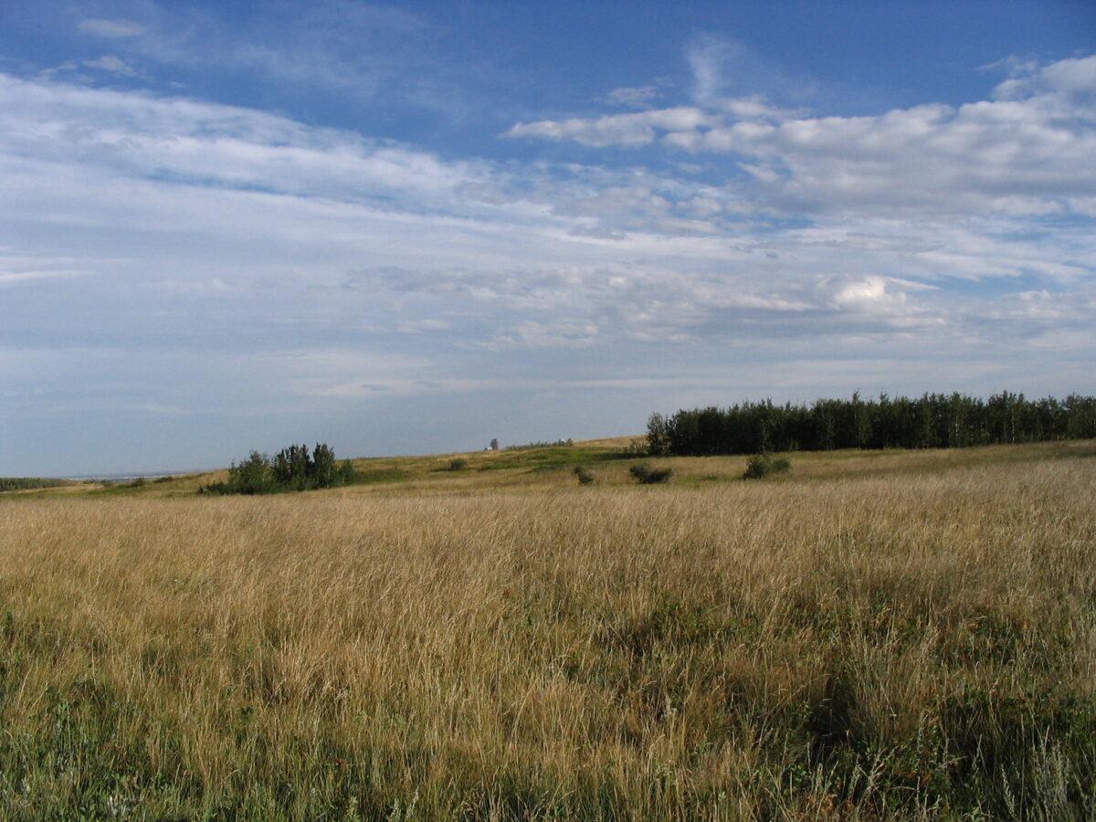 Panoramic views from Nose Hill Park Calgary prairie landscapes